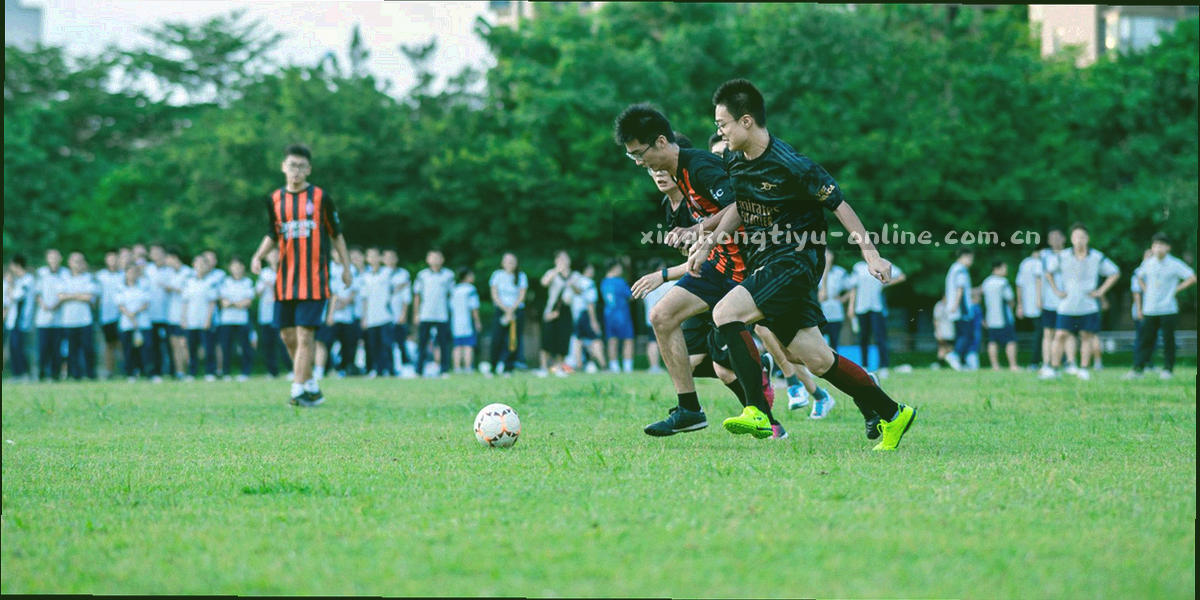 从选择球队到接收阵容变动的三步流程示意图，节点用琥珀金编号标注，连线为星空紫渐变